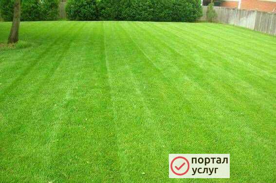 Фото Уход