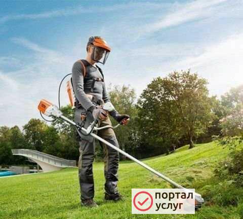 Фото Покос травы триммером