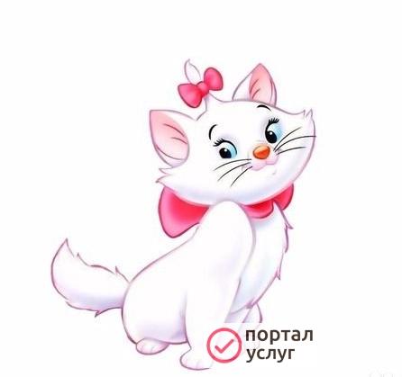 Фото Отмоем, пострижем, покрасим