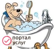 Фото Уход за домашним питомцем