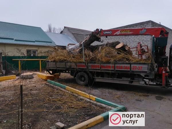 Фото Спил деревьев профессионально
