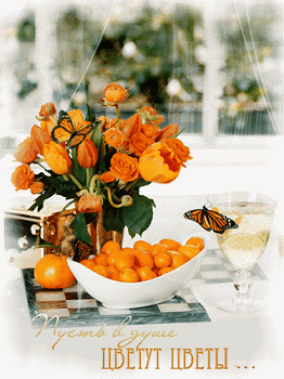 Фото Сиделка