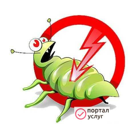Фото Обработка помещений