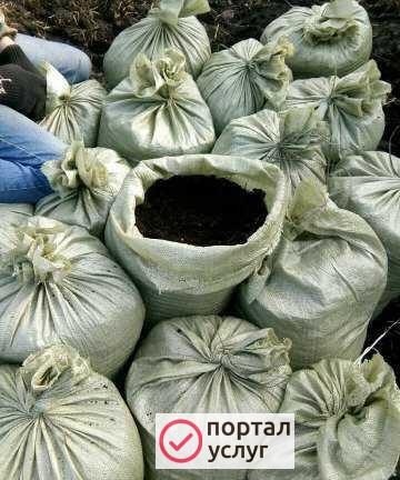 Фото Перегной,навоз
