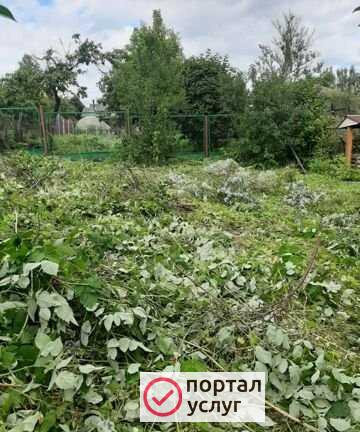 Фото Кашу сама