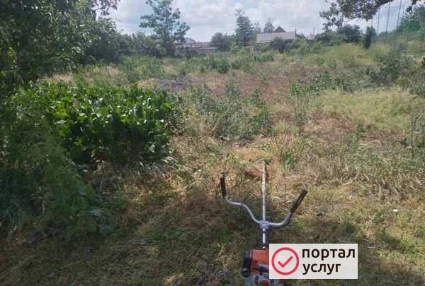Фото Зачистка участков от заросли