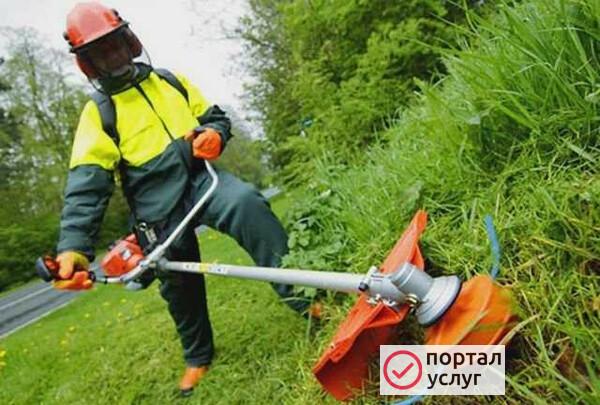 Фото Покос травы,спил деревьев