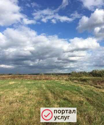 Фото Покос травы