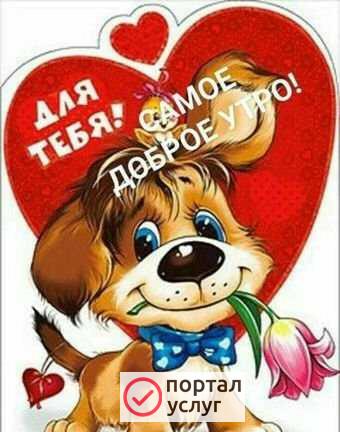 Фото Клининг
