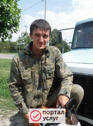 Фото Спиливание деревьев