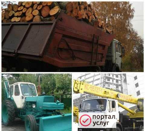 Фото Услуги спецтехники