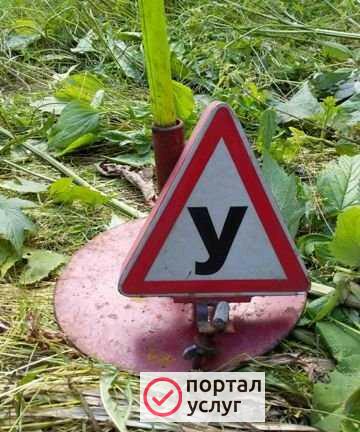 Фото Обучение