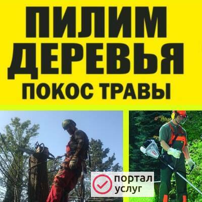 Фото Зачистка участков, спил деревьев, вывоз мусора