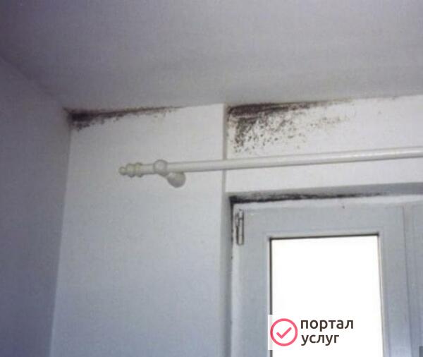 Фото СЭС услуги