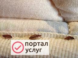 Фото СЭС услуги