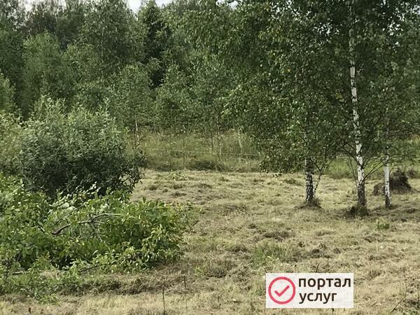 Фото Требуется вспашка участка