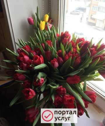 Фото Мытьё окон