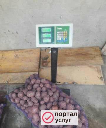 Фото Картофель