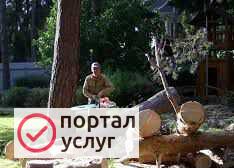 Фото Спил деревьев