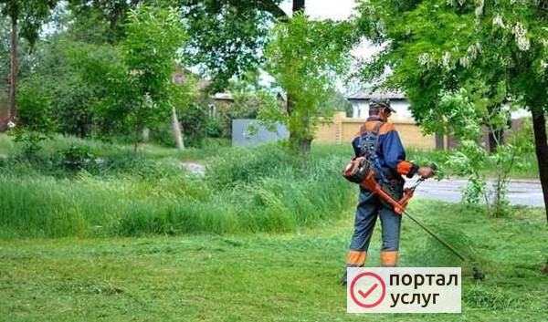 Фото Покос травы