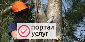 Фото Спил деревьев