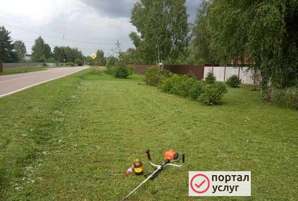 Фото Покос травы