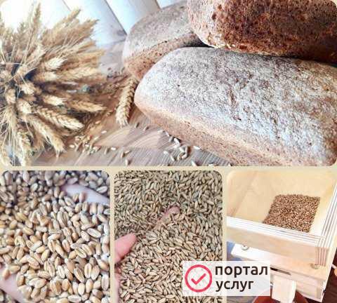 Фото Живая мука