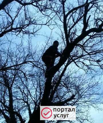 Фото Услуги