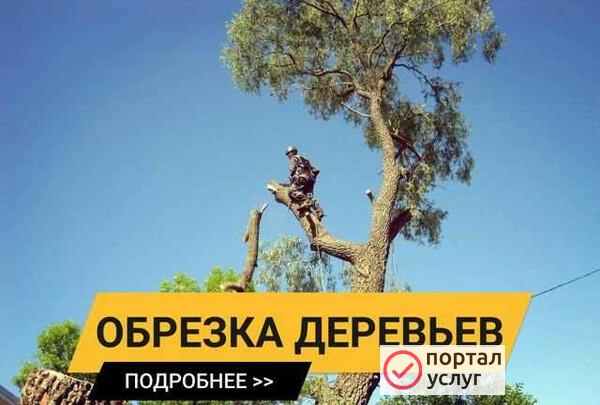 Фото Обрезка деревьев