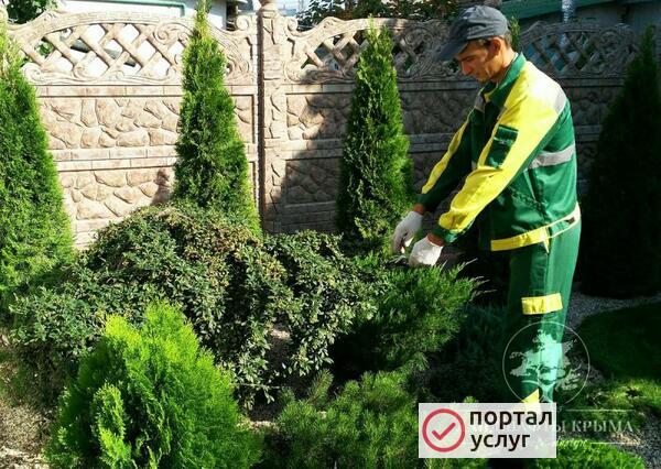 Фото Садовник Уход за садом