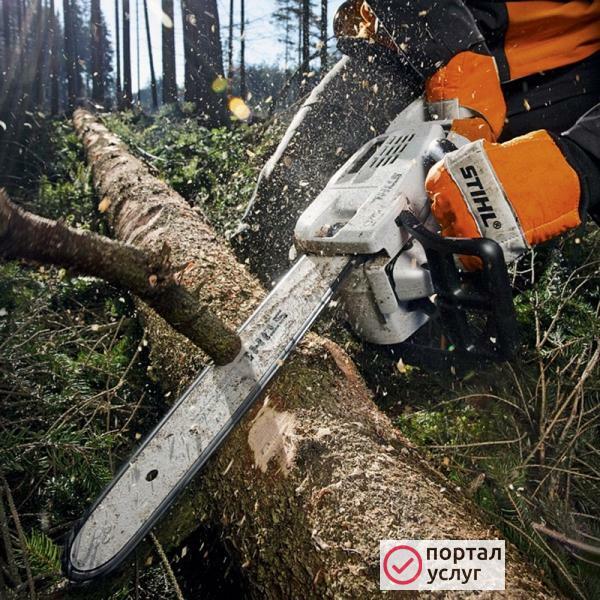 Фото Пилим деревья