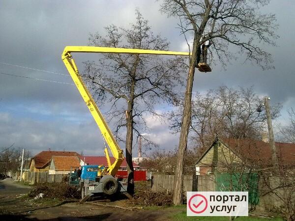 Фото Пилим деревья