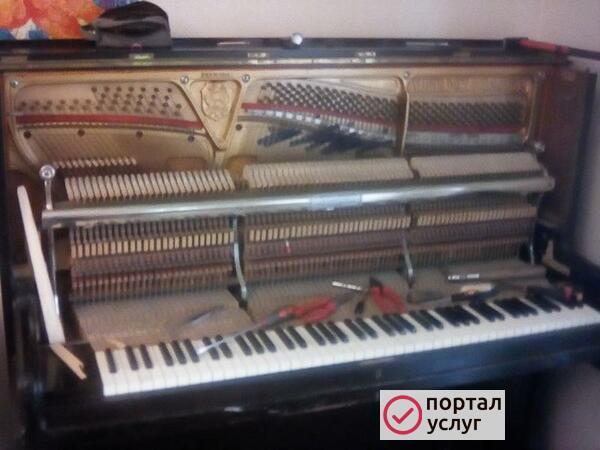 Фото Настройщик пианино