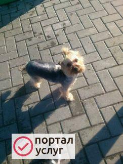 Фото Стрижка