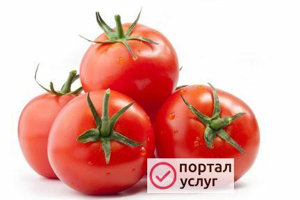 Фото Помидор