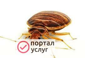 Фото СЭС услуги