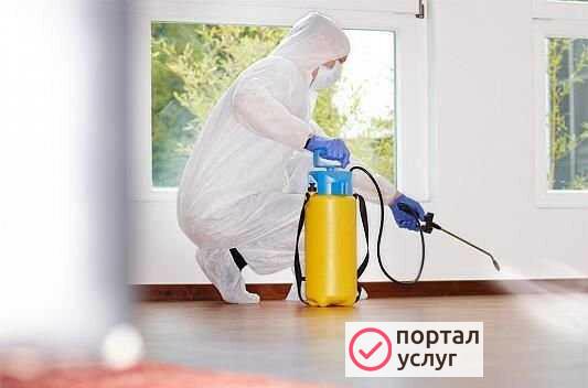 Фото Дезинфекция помещений