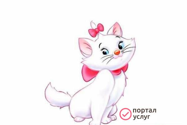 Фото Отмоем, пострижем, покрасим