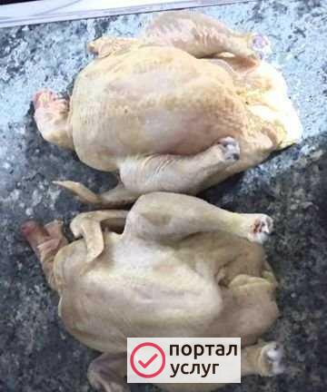 Фото Бройлер домашний