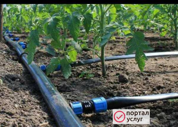 Фото Садовый водопровод