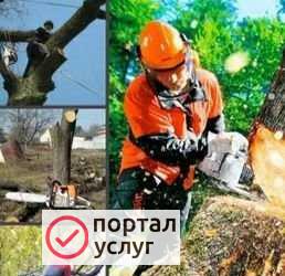 Фото Спиливание деревьев