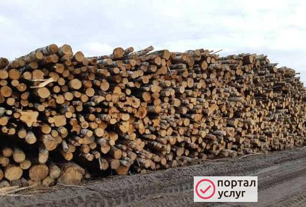 Фото Дрова