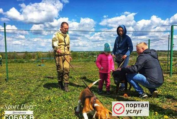 Фото Дрессировка собак