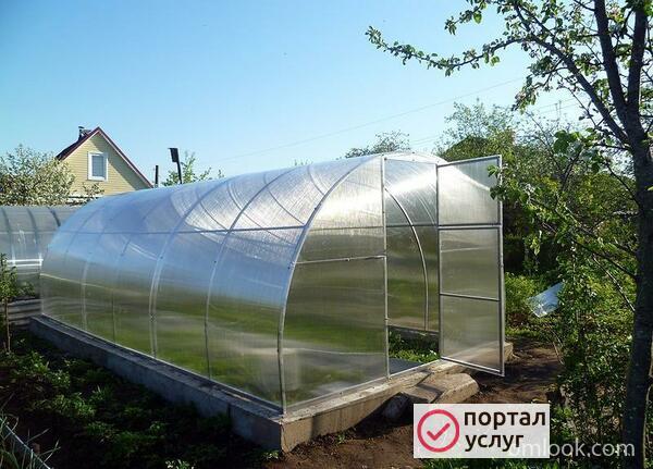 Фото Теплица 3*8