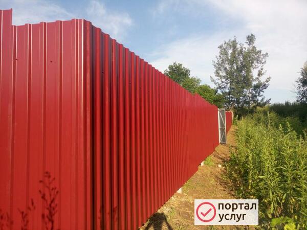 Фото Заборы
