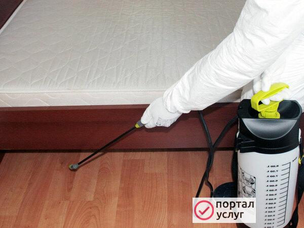 Фото Дезинсекция