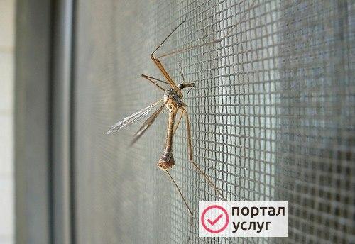 Фото Москитные сетки