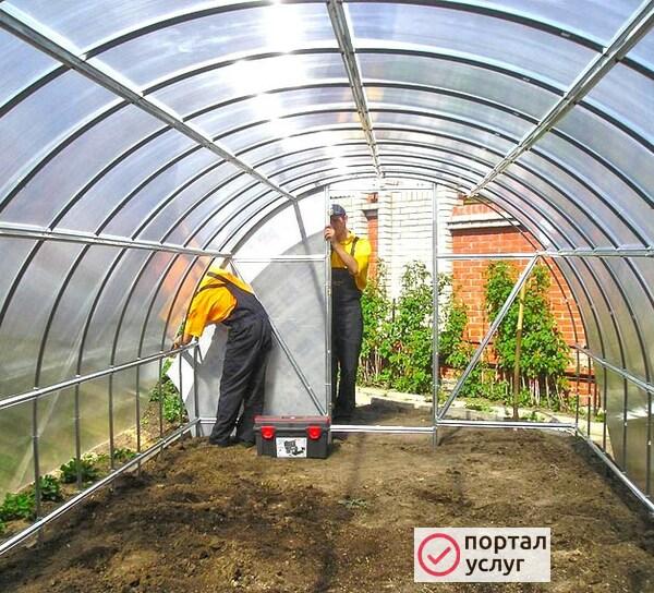 Фото Теплица 3*12