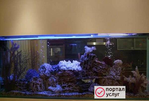 Фото Обслуживание аквариумов