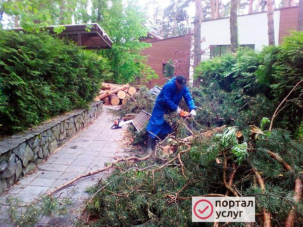 Фото Расчистка участков
